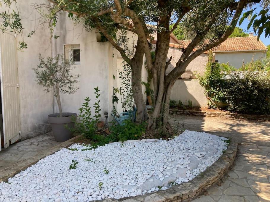 Piscine Cosy, 3 Chambres, 3 Sdb, Havre De Paix A 10 Min Des Plages موجيو المظهر الخارجي الصورة